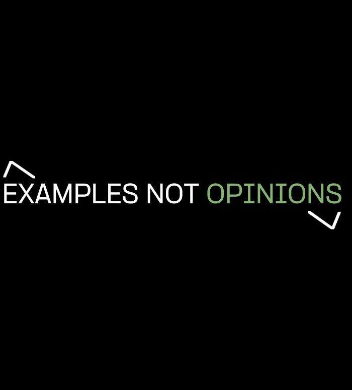 EXAMPLES NOT OPINIONS MHM