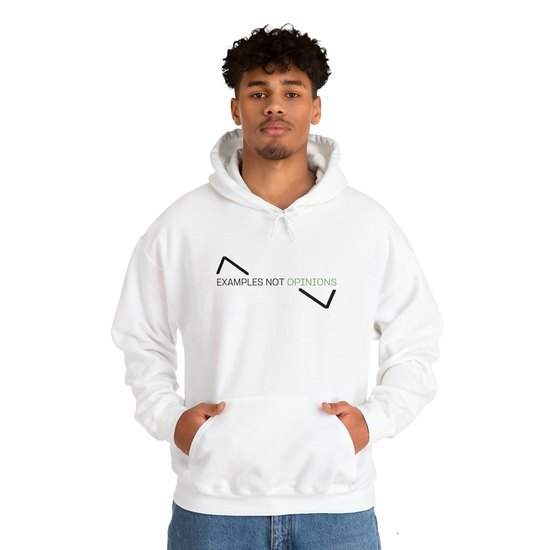 EXAMPLES NOT OPINIONS MHM HOODIE